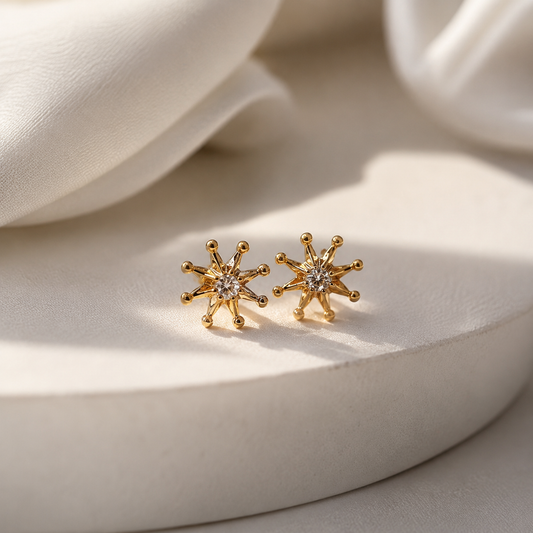 Earrings 050