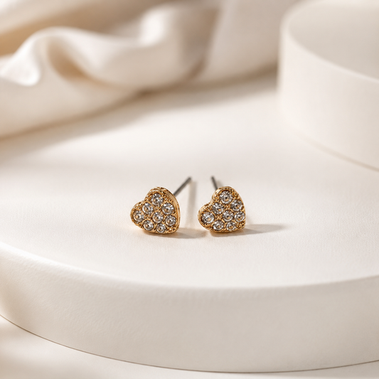 Earrings 065