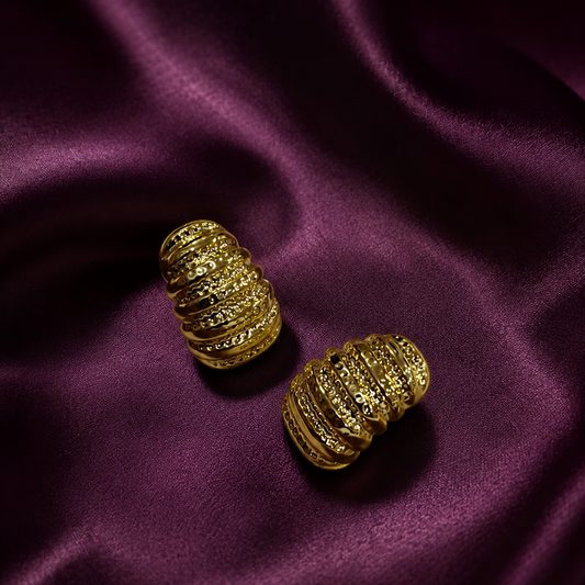 Earrings 005